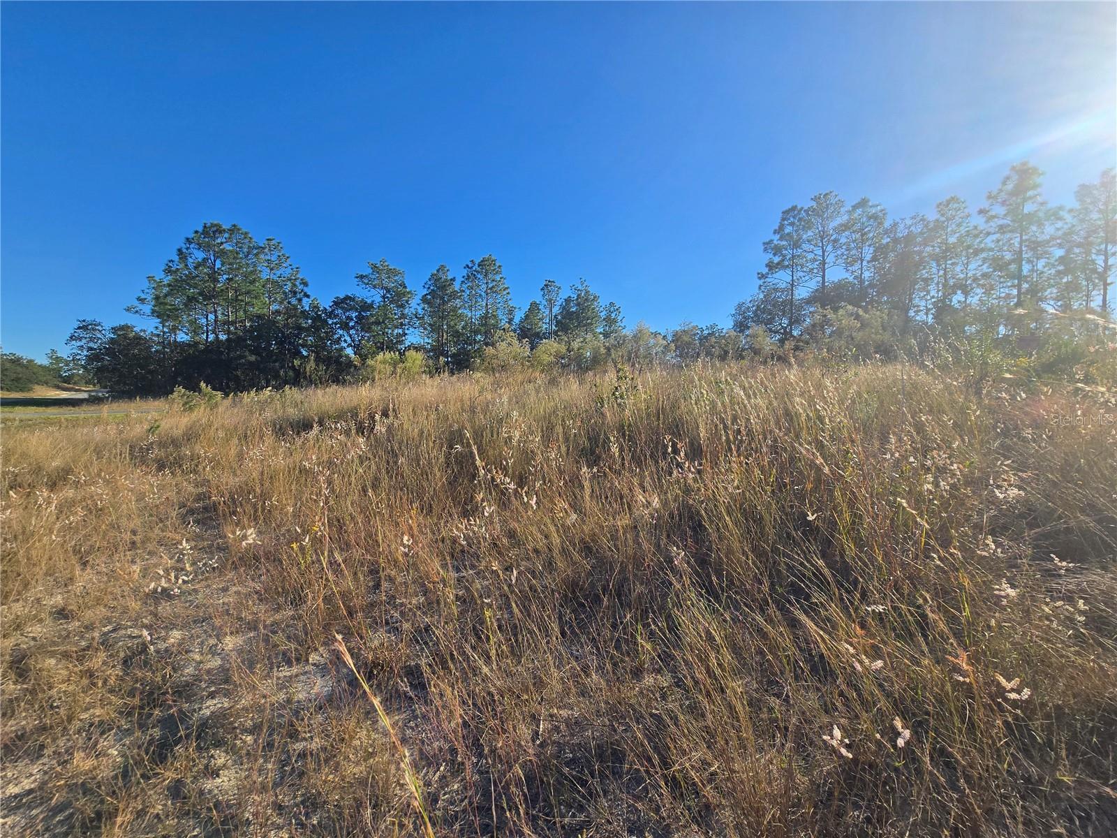 Image 8 of 11 For 9388 Old Mill Way