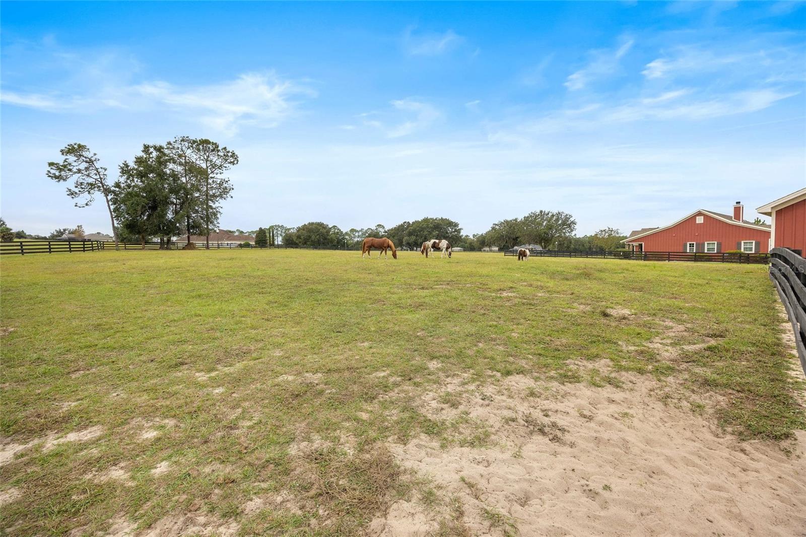 Image 83 of 99 For 41526 Saddle Ridge Lane