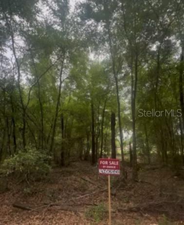 Listing Details for Na , OCALA, FL 34482