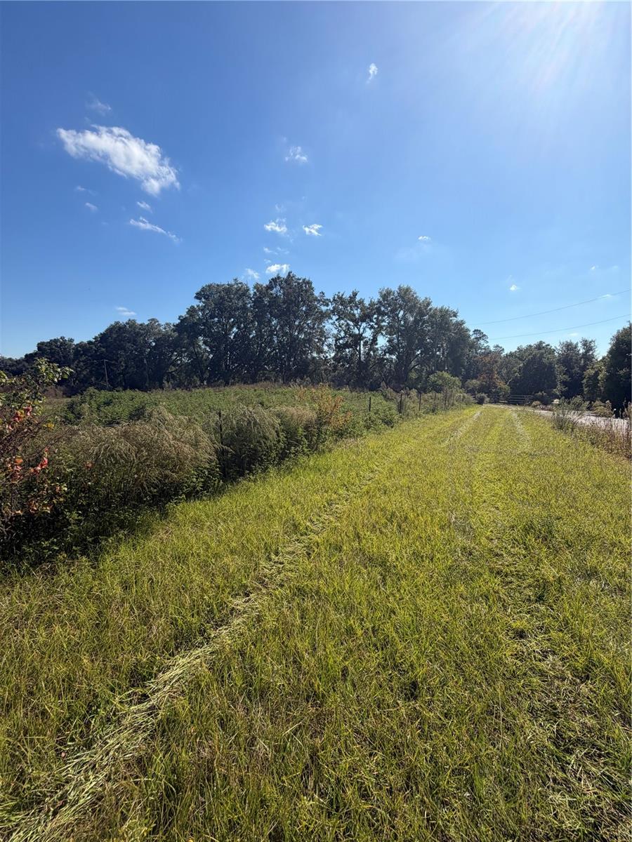 Image 11 of 12 For Tbd 25th Avenue