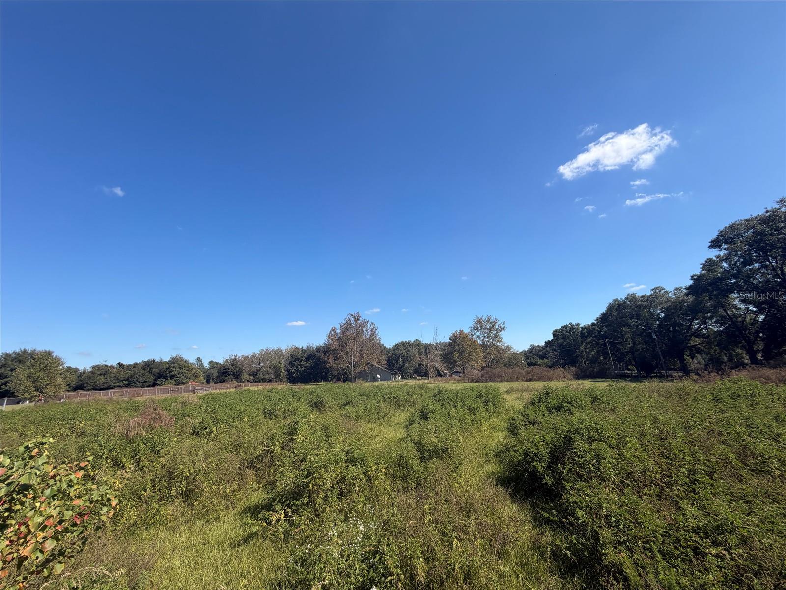 Image 12 of 12 For Tbd 25th Avenue