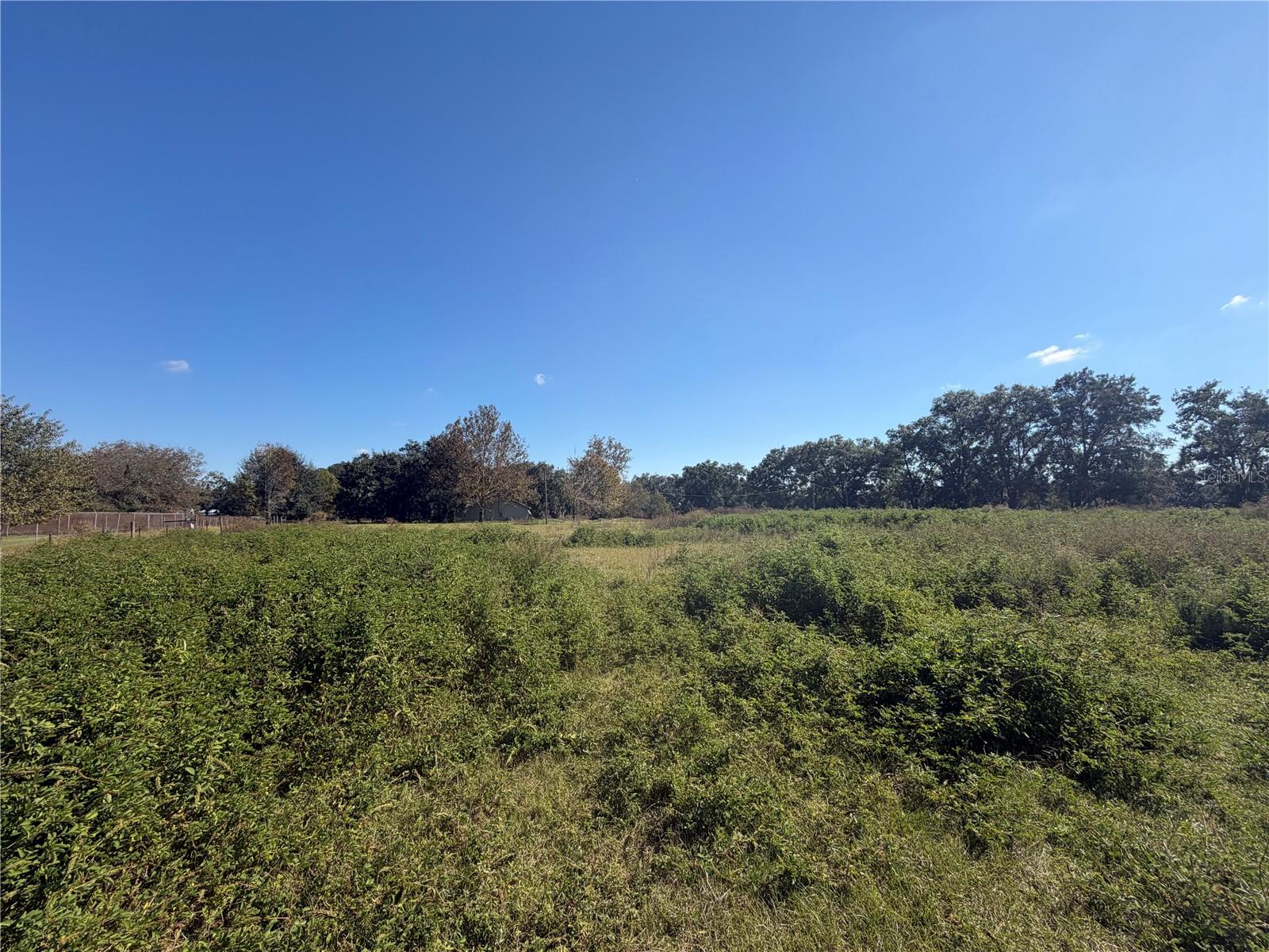 Image 8 of 12 For Tbd 25th Avenue