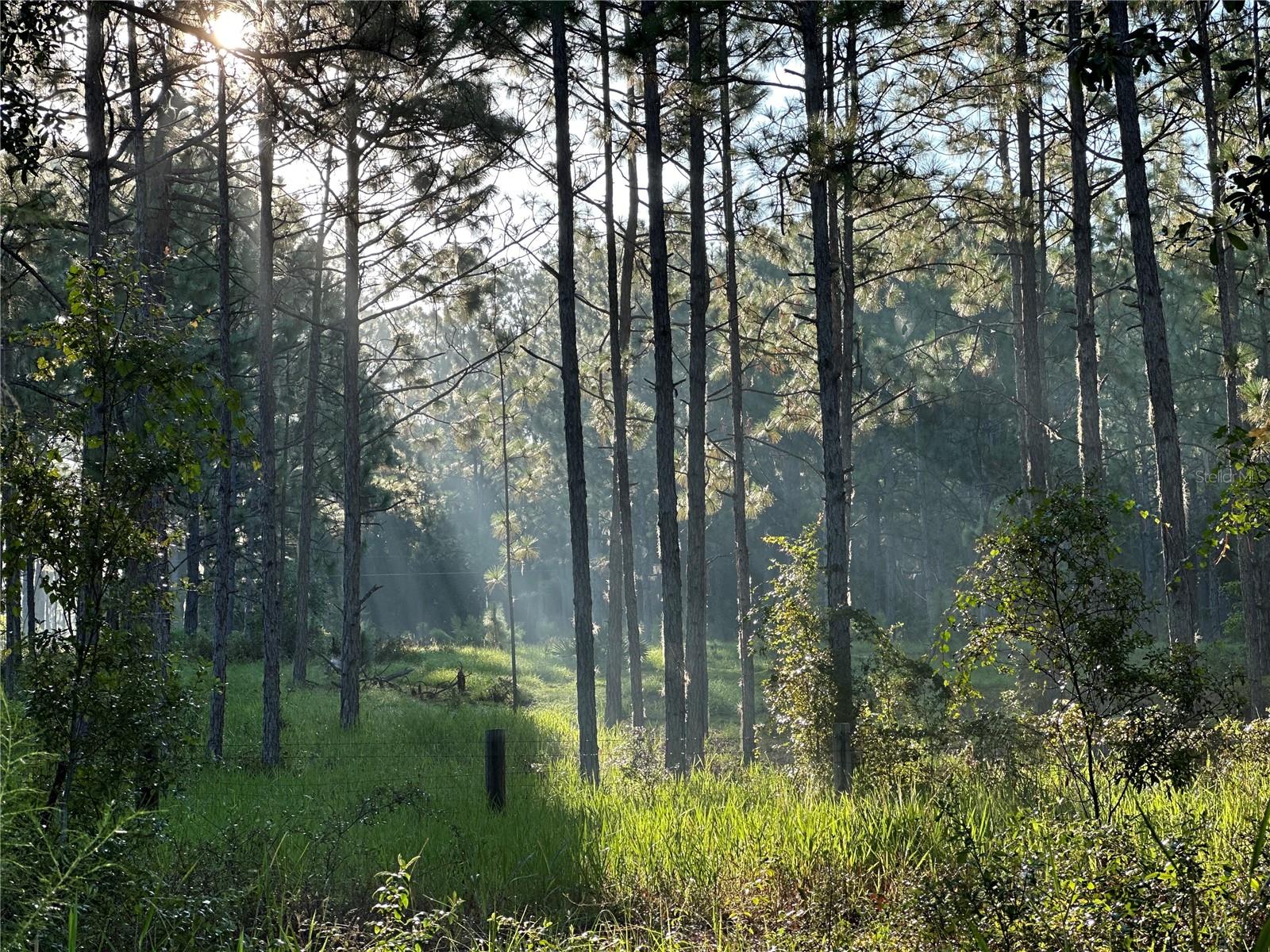 Image 45 of 47 For 22080 Highway 316