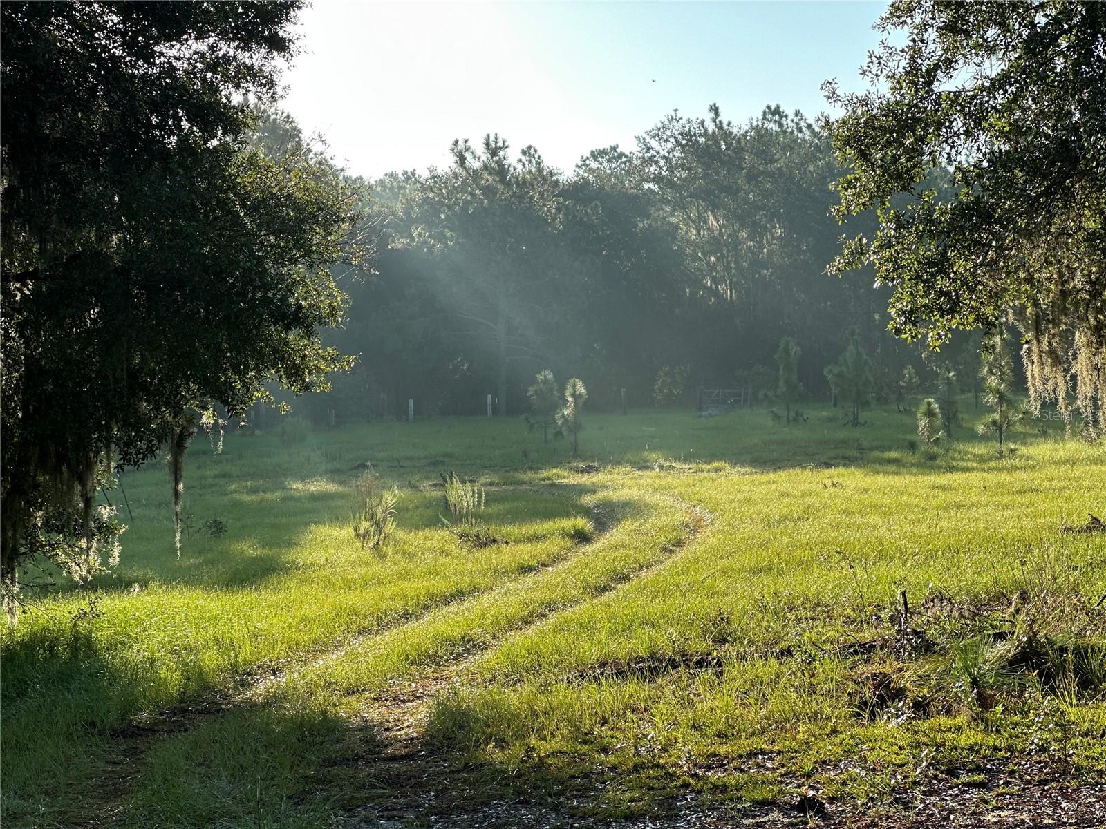 Image 46 of 47 For 22080 Highway 316