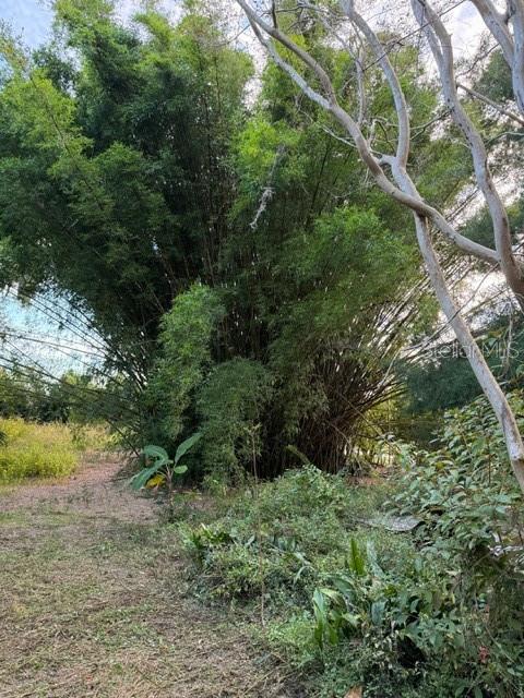 Image 12 of 13 For 14914 56th Avenue