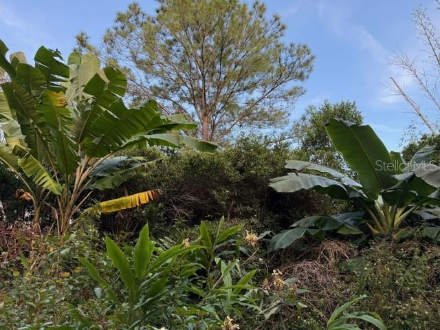 Image 9 of 13 For 14914 56th Avenue