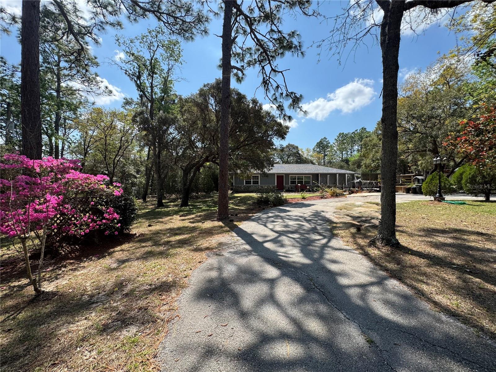 Listing photo id 42 for 4540 Sandy Hill Street