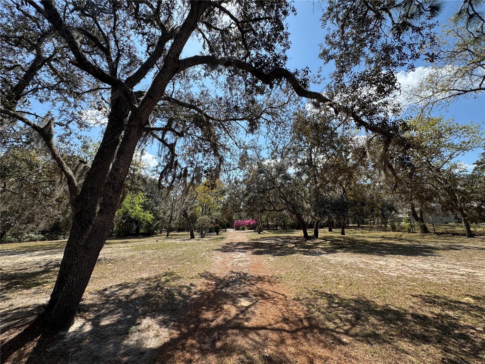 Listing photo id 44 for 4540 Sandy Hill Street