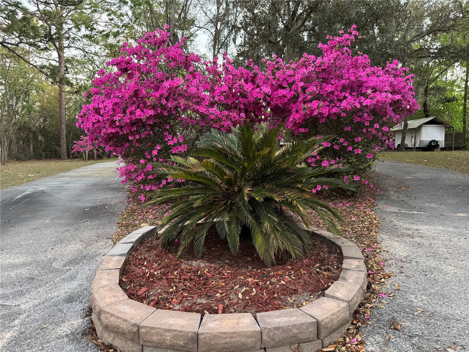 Listing photo id 45 for 4540 Sandy Hill Street