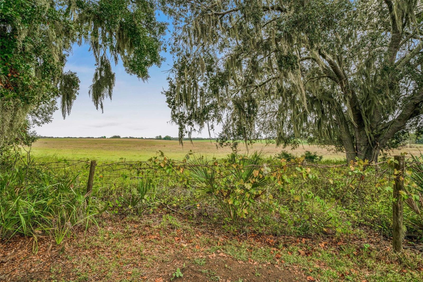 Image 7 of 61 For 981 Foxrun Terrace