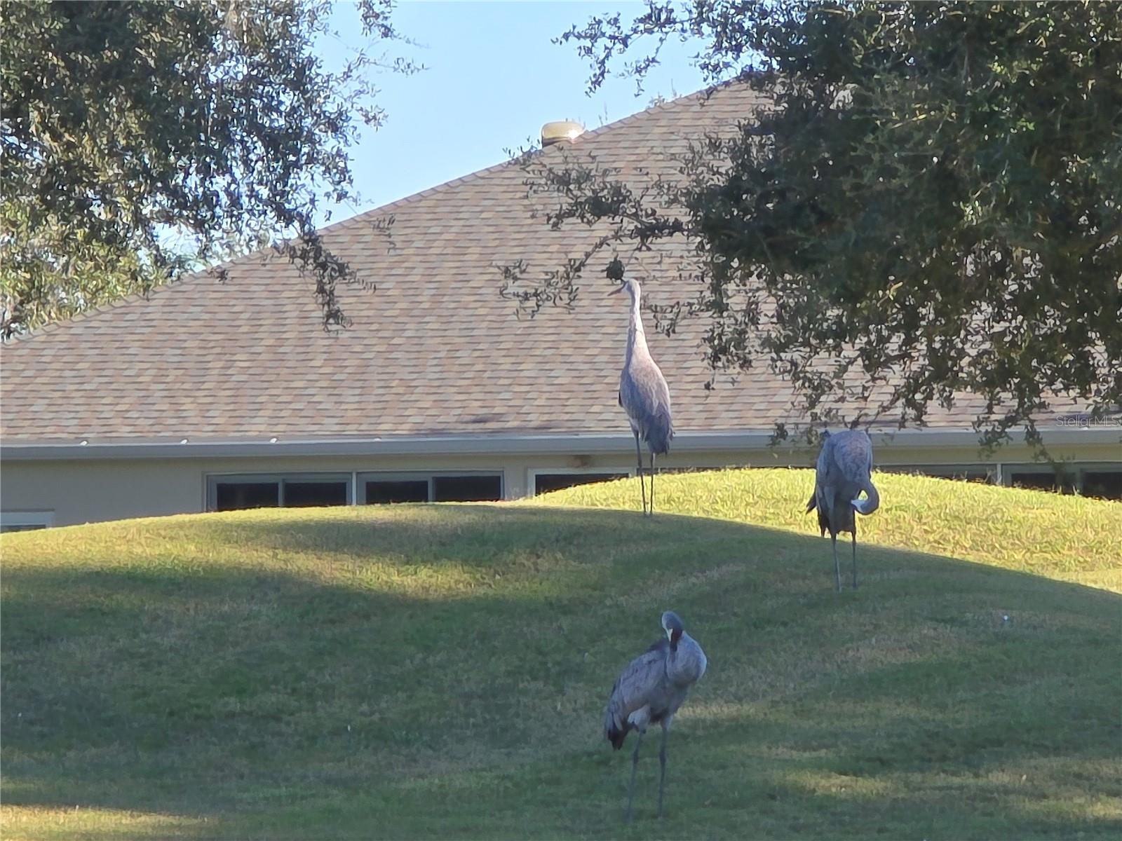 Image 31 of 36 For 24613 Madewood Avenue