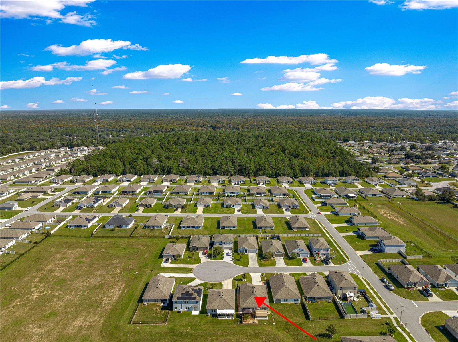 Image 45 of 50 For 646 65th Avenue