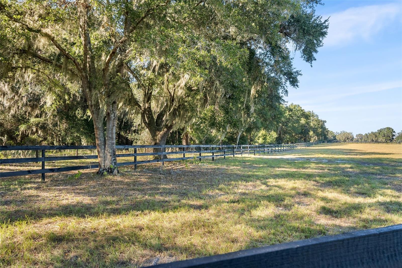 Image 14 of 18 For 12793 138th Loop