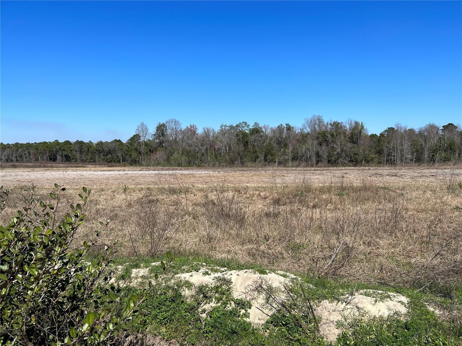 Details for Lot 5a Hwy 318, FORT MC COY, FL 32134