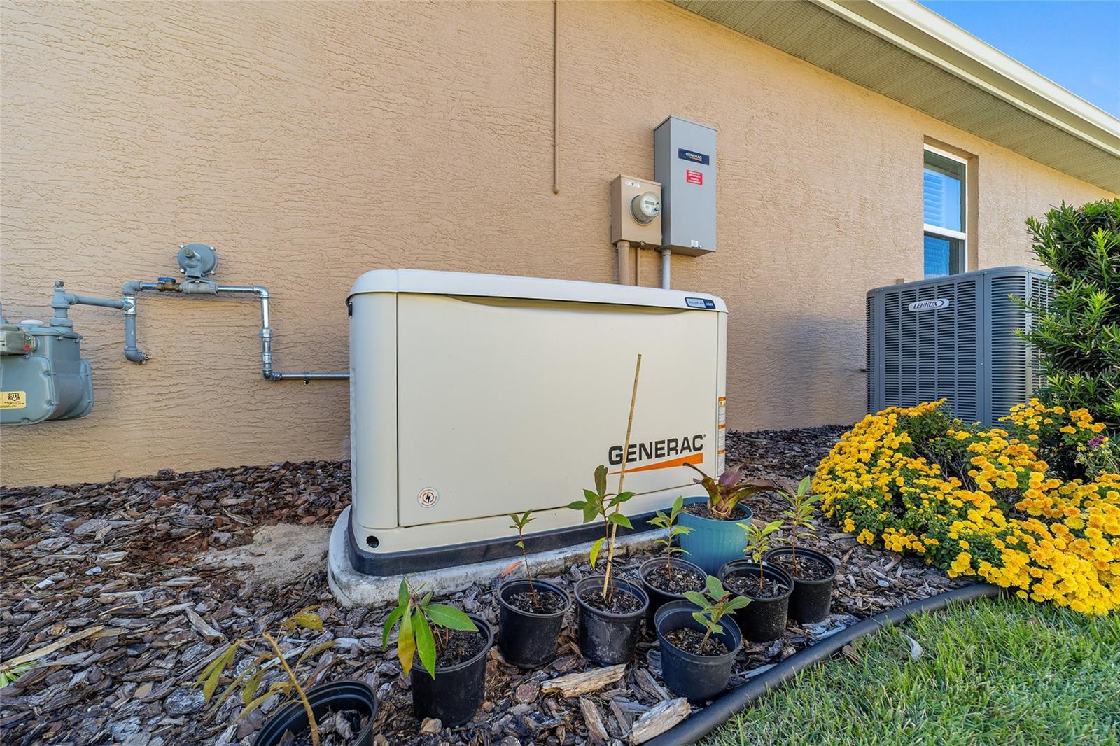 Image 40 of 40 For 10119 88th Street