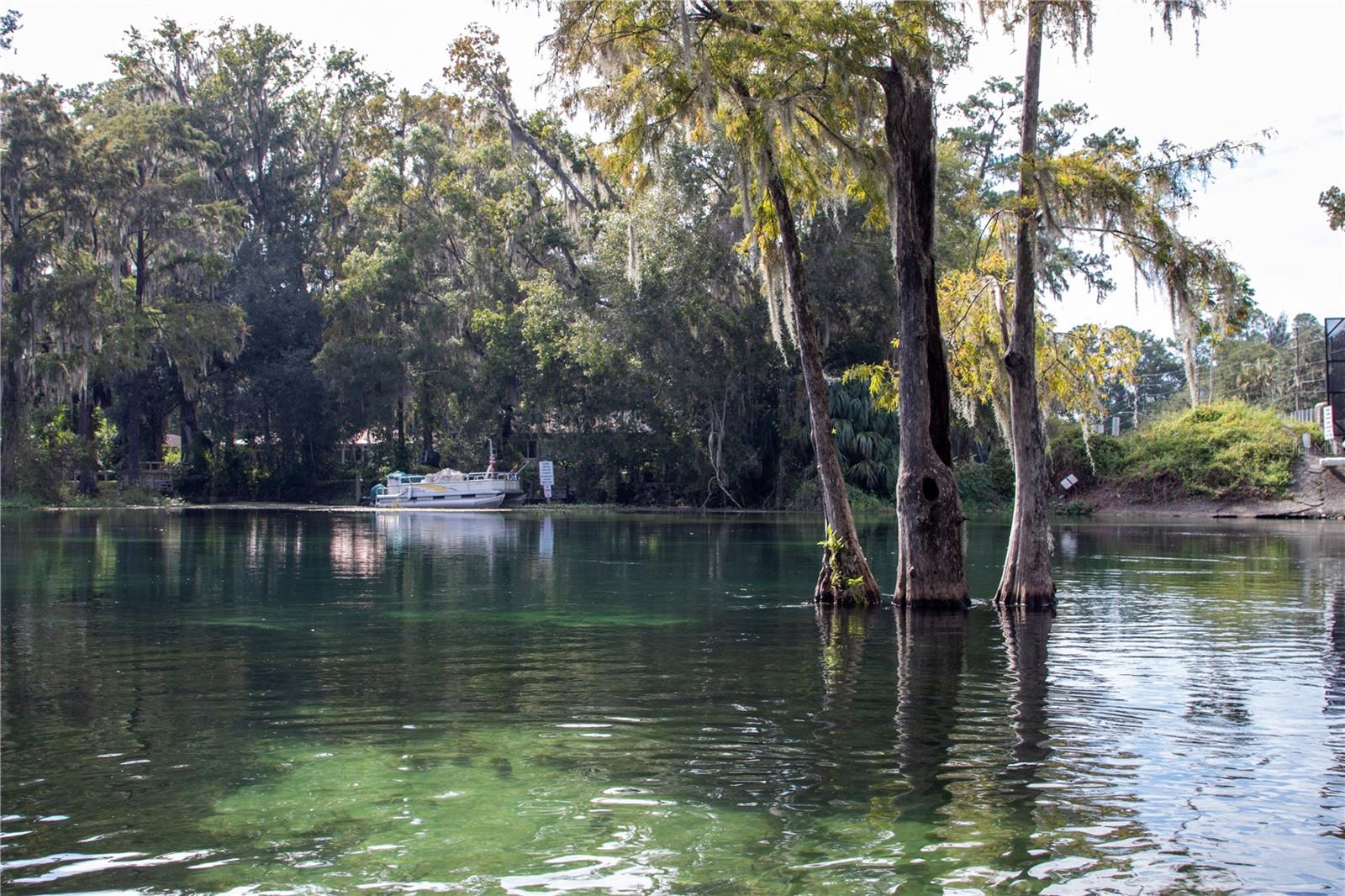 Image 49 of 65 For 20840 Chestnut Street