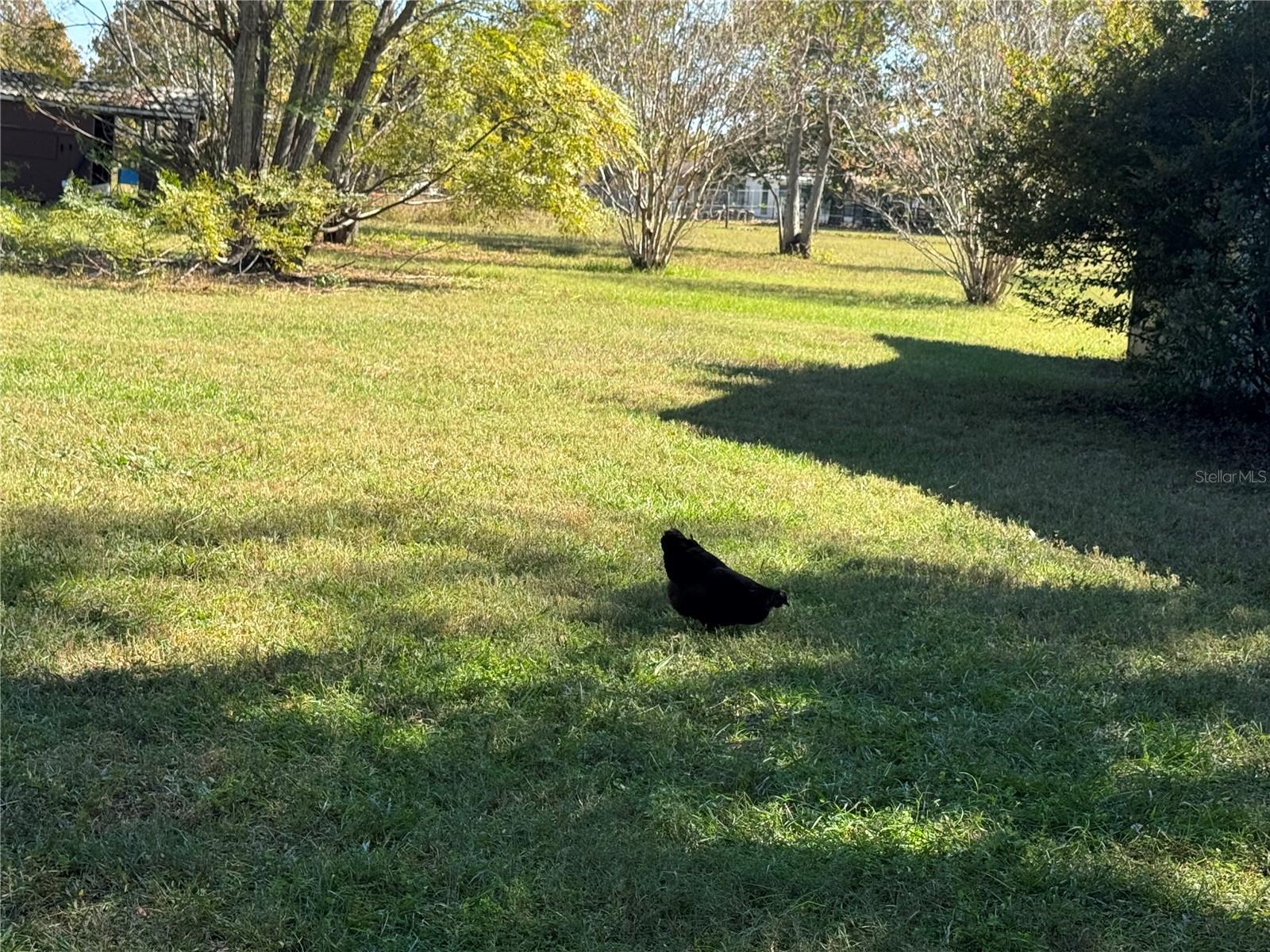 Image 33 of 61 For 7425 Irma Point