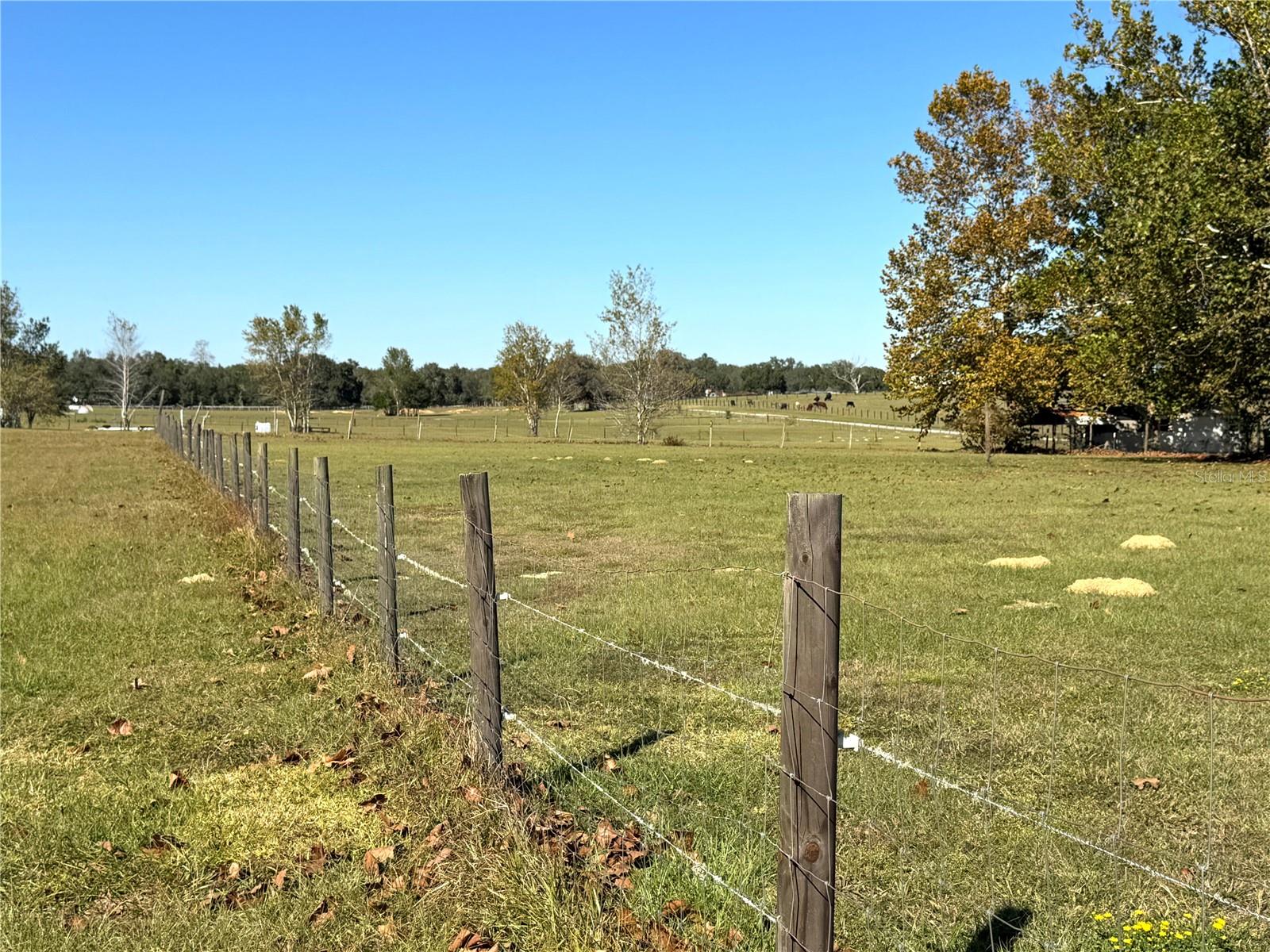 Image 51 of 61 For 7425 Irma Point