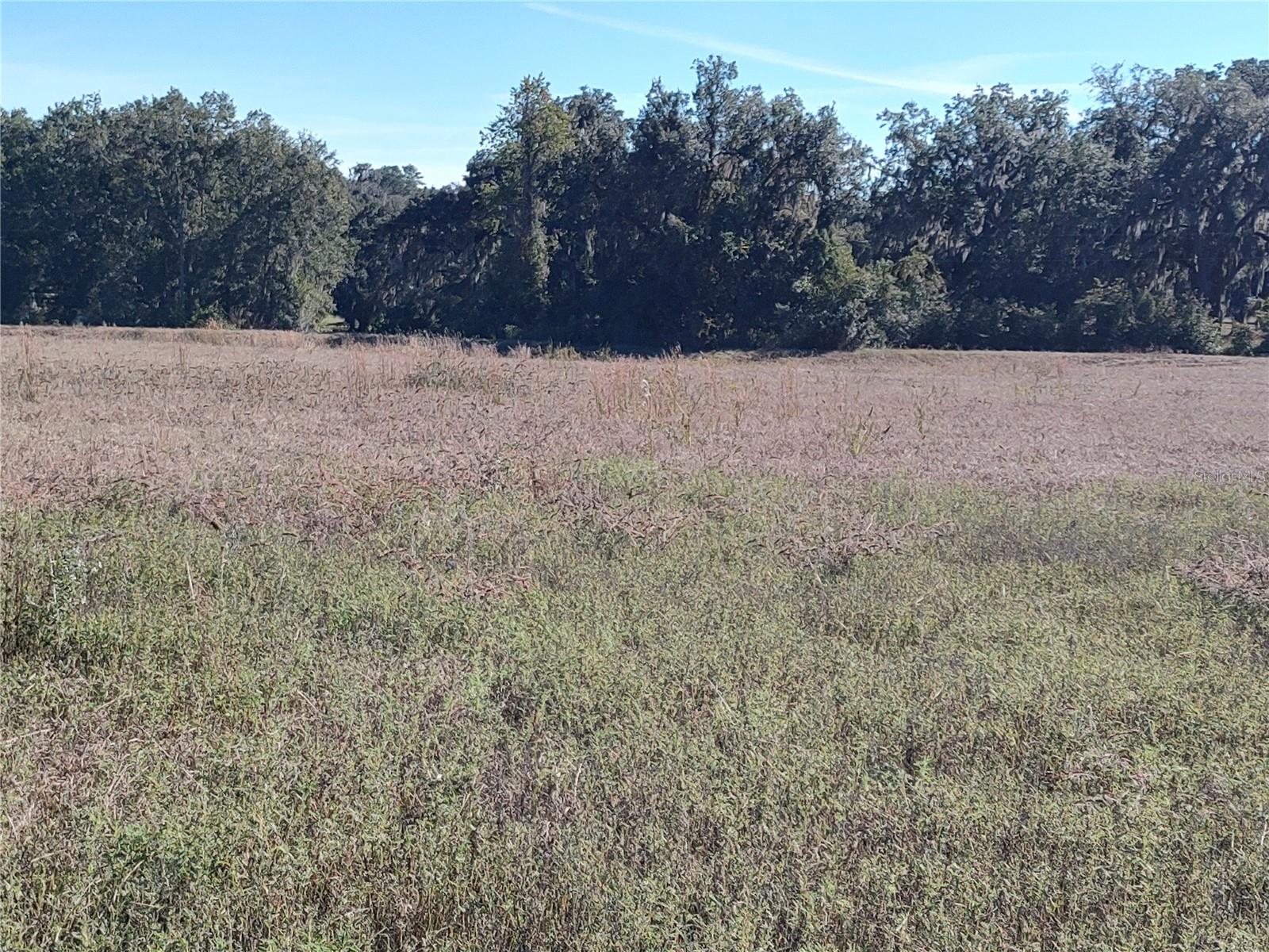 Image 12 of 15 For 54th Loop Lot 7