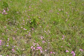 Image 3 of 4 For 39 Locust Place