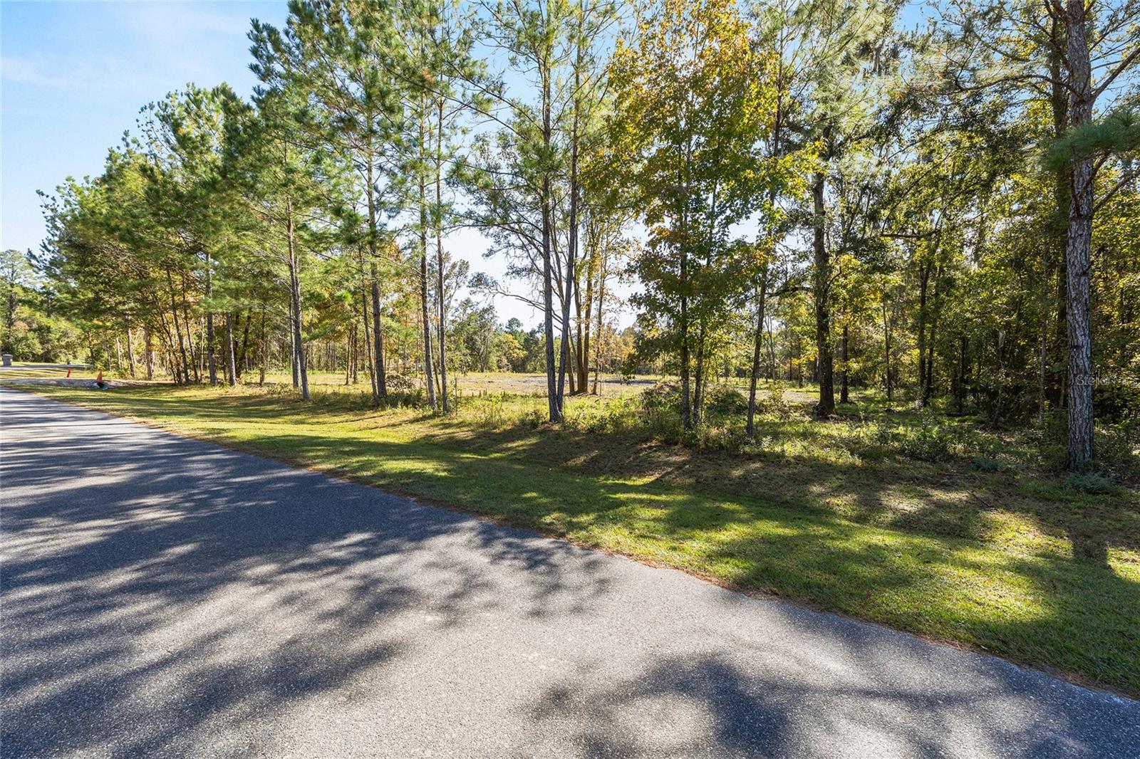 Image 6 of 12 For Tbd 145 Street