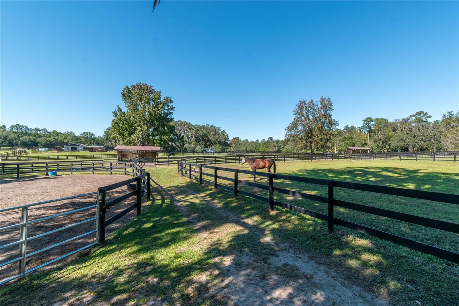 Image 54 of 67 For 8820 130th Street