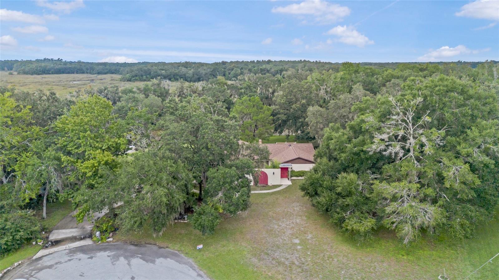 Image 7 of 81 For 53 Archwood Drive