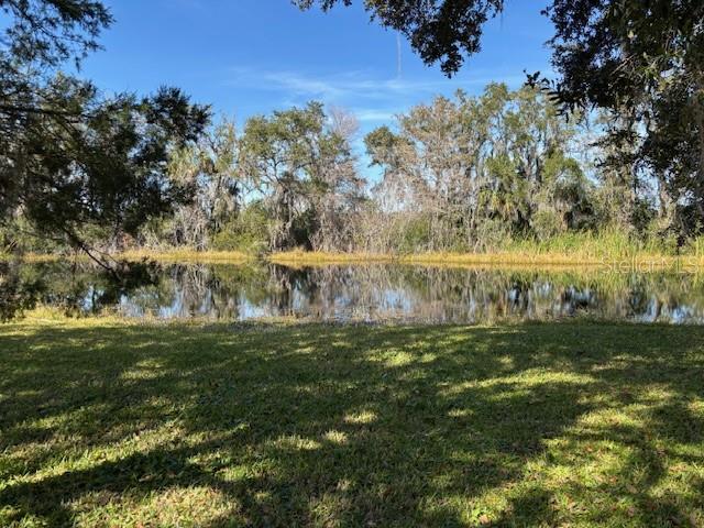 Image 75 of 81 For 53 Archwood Drive