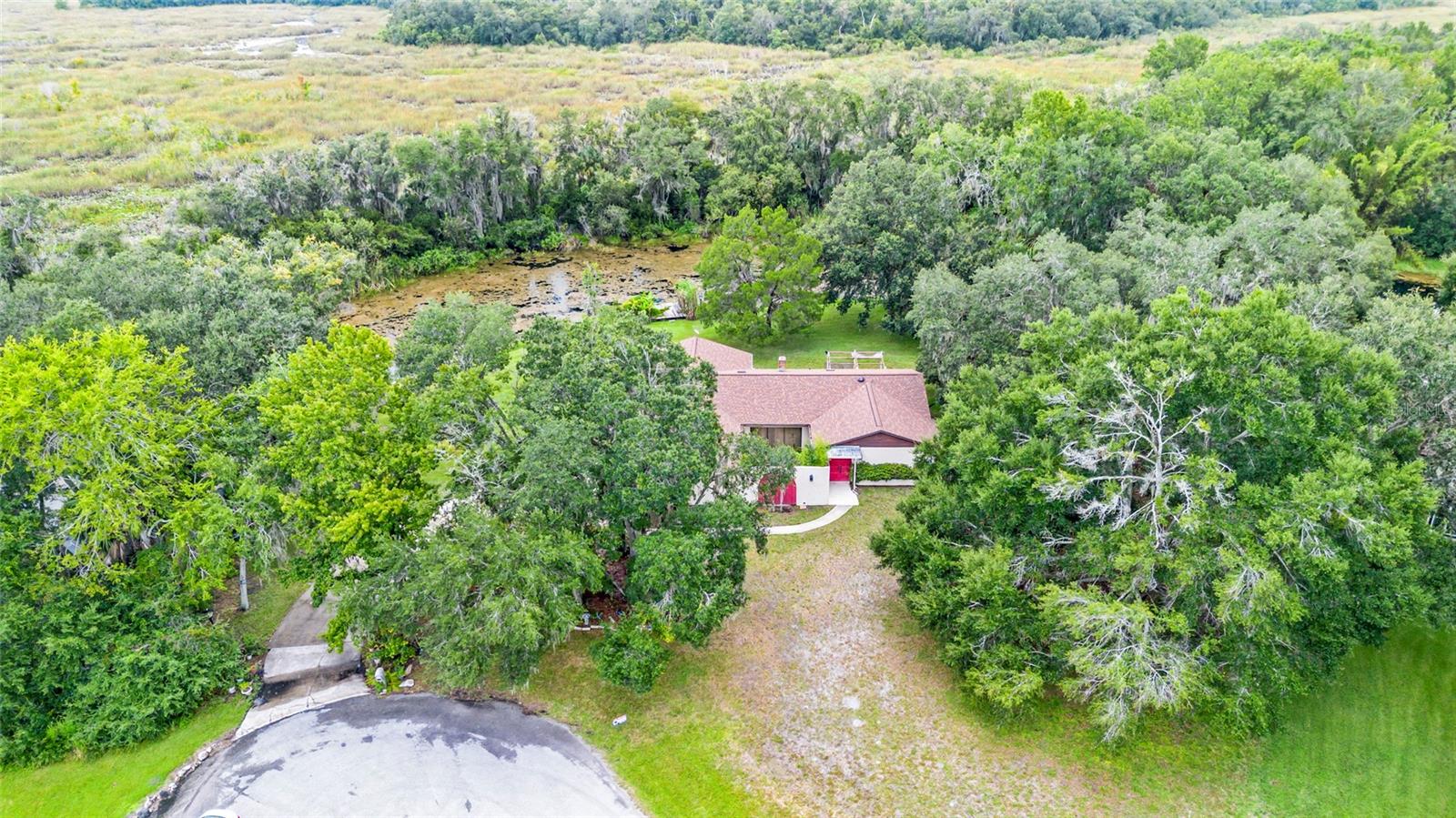 Image 8 of 81 For 53 Archwood Drive