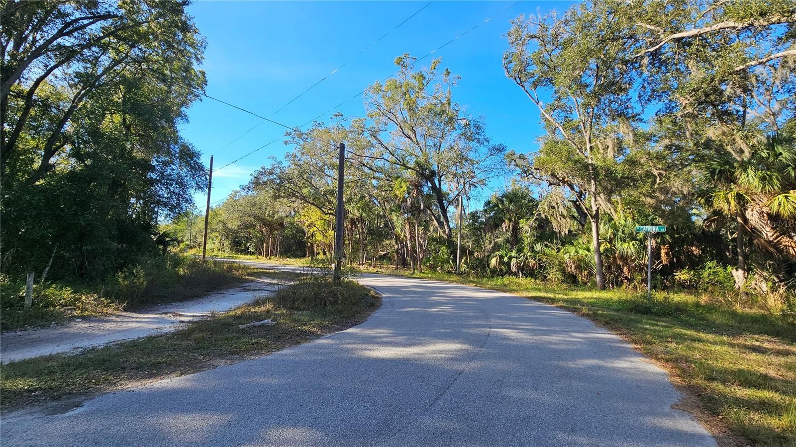 Image 3 of 7 For 8177 Catrina Lane