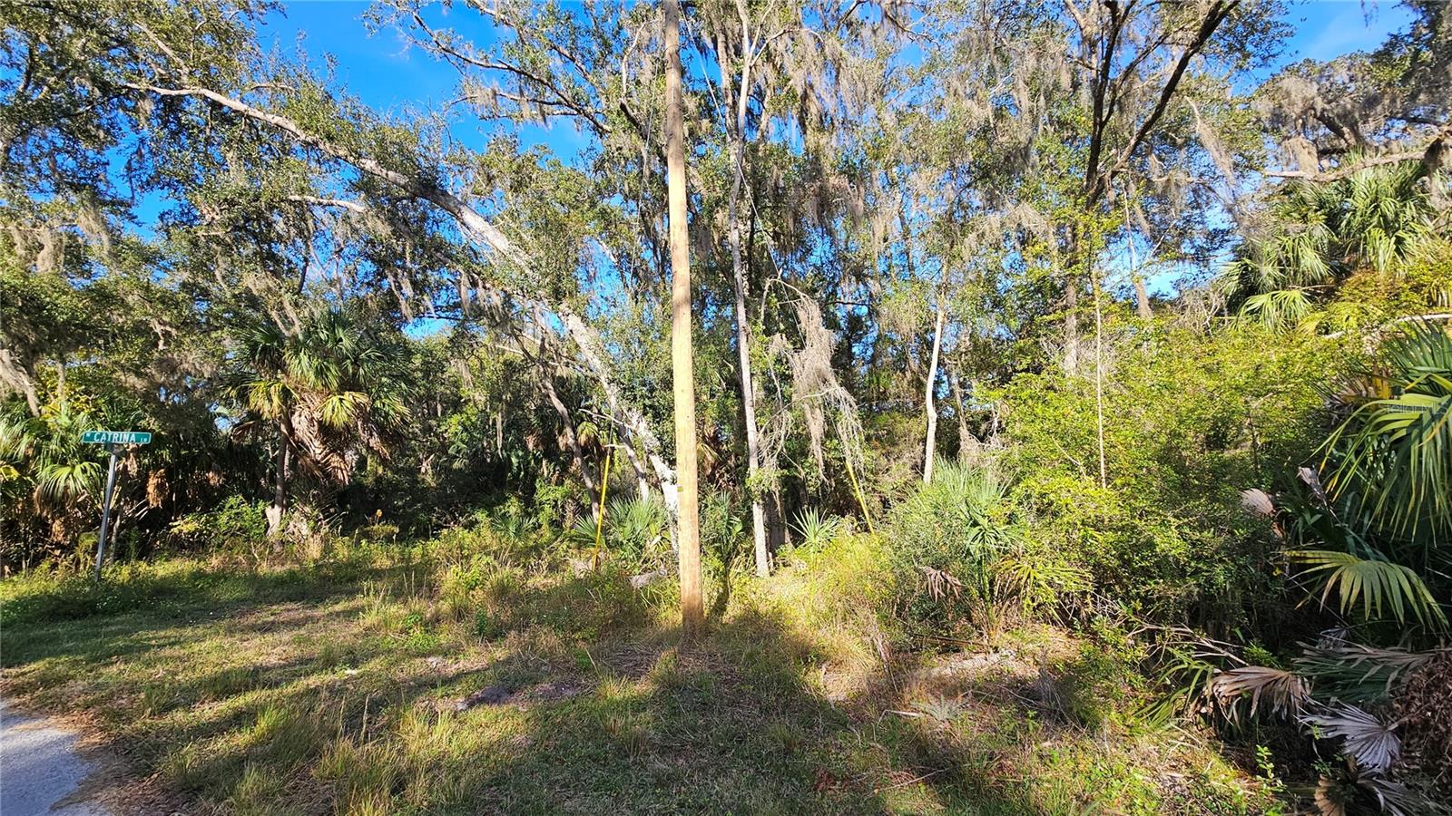 Image 4 of 7 For 8177 Catrina Lane