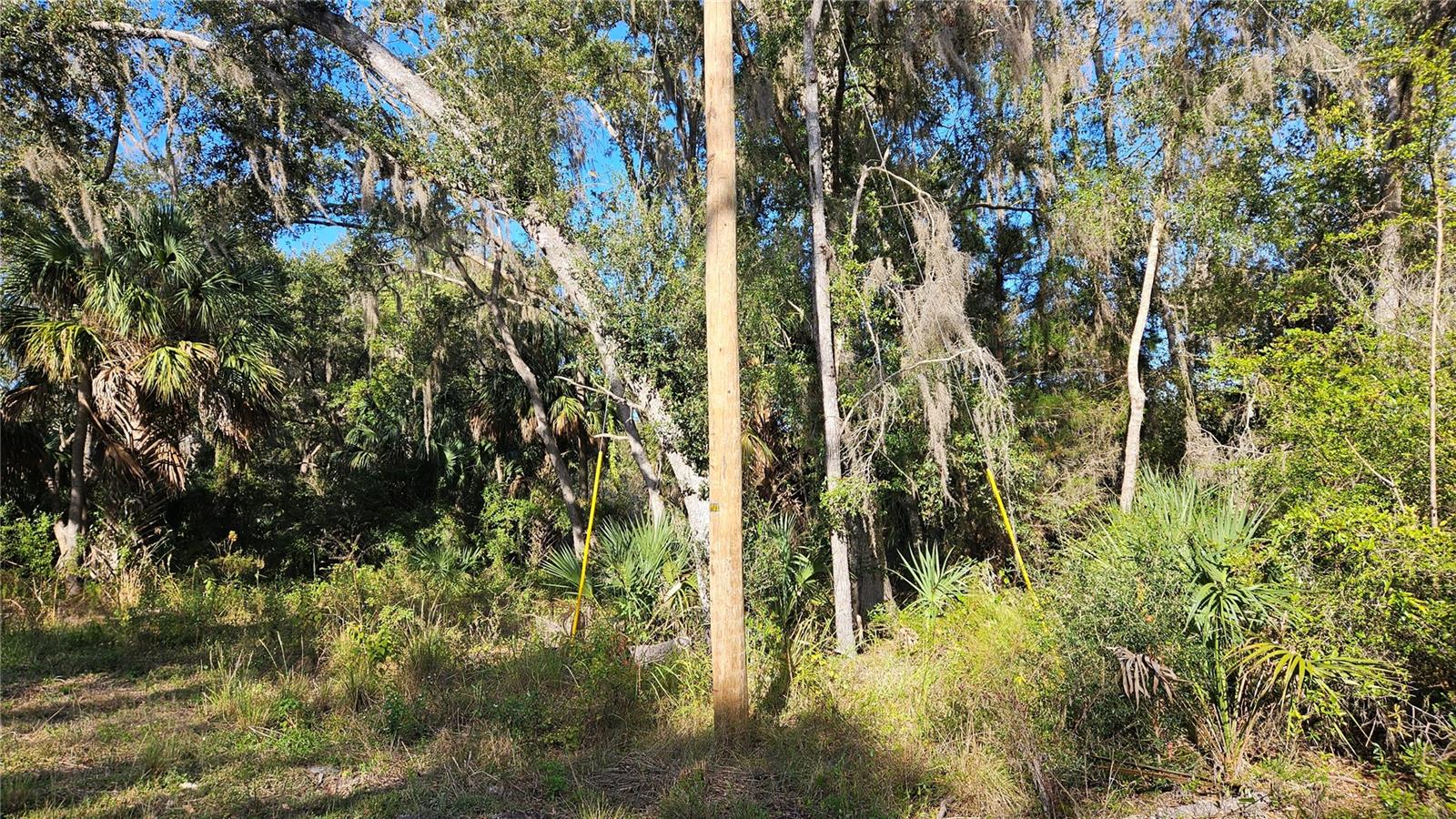 Image 5 of 7 For 8177 Catrina Lane