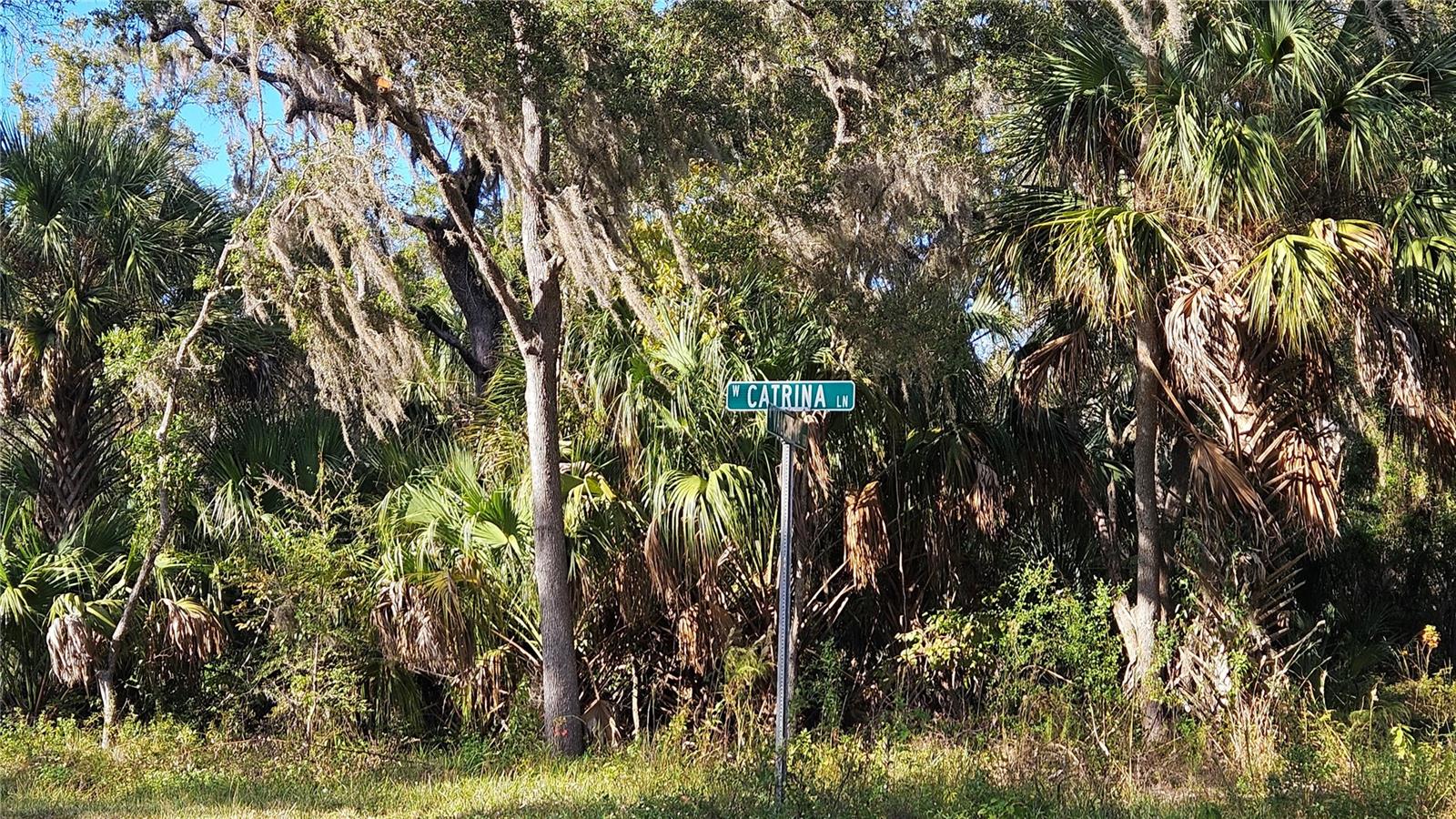 Image 6 of 7 For 8177 Catrina Lane