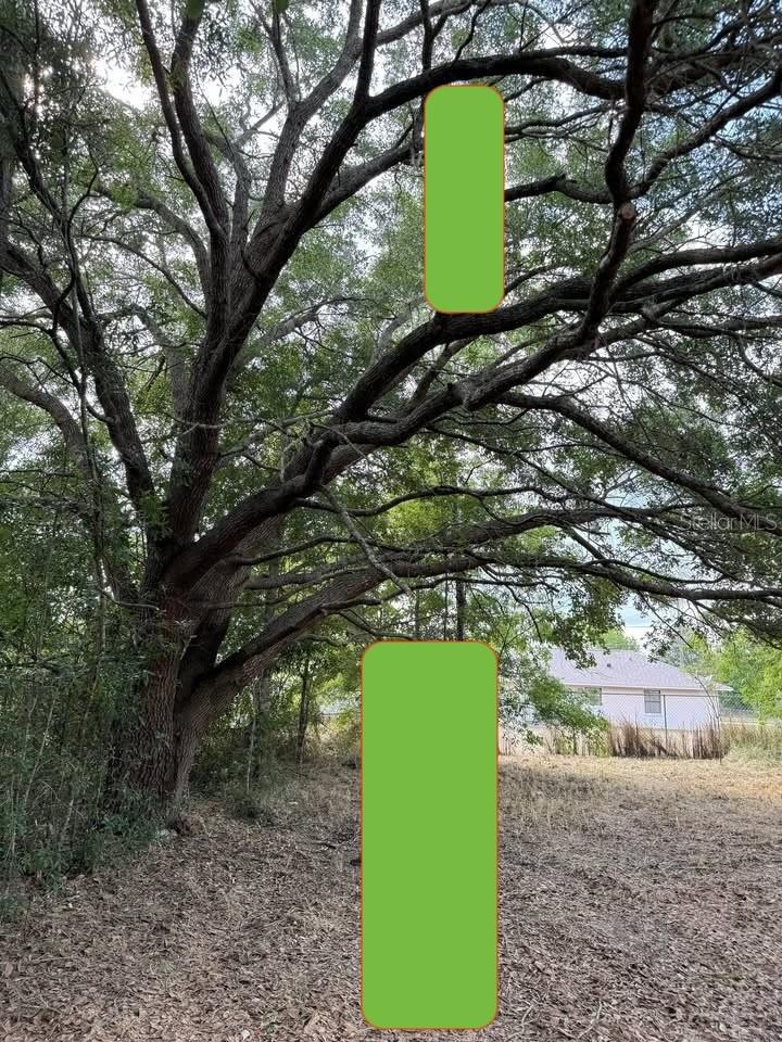 Image 14 of 18 For 0 Almond Trail Ct.