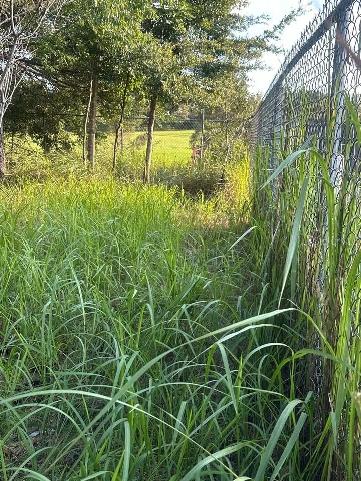 Image 8 of 18 For 0 Almond Trail Ct.