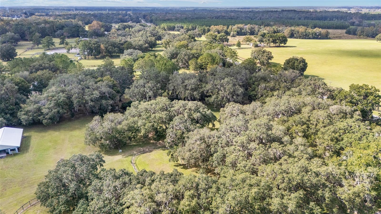 Image 50 of 59 For 13370 Highway 318