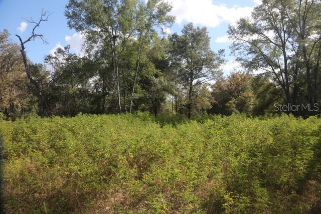 Image 2 of 7 For 8776 139th Place Road