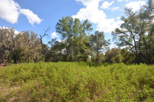 Image 3 of 7 For 8776 139th Place Road