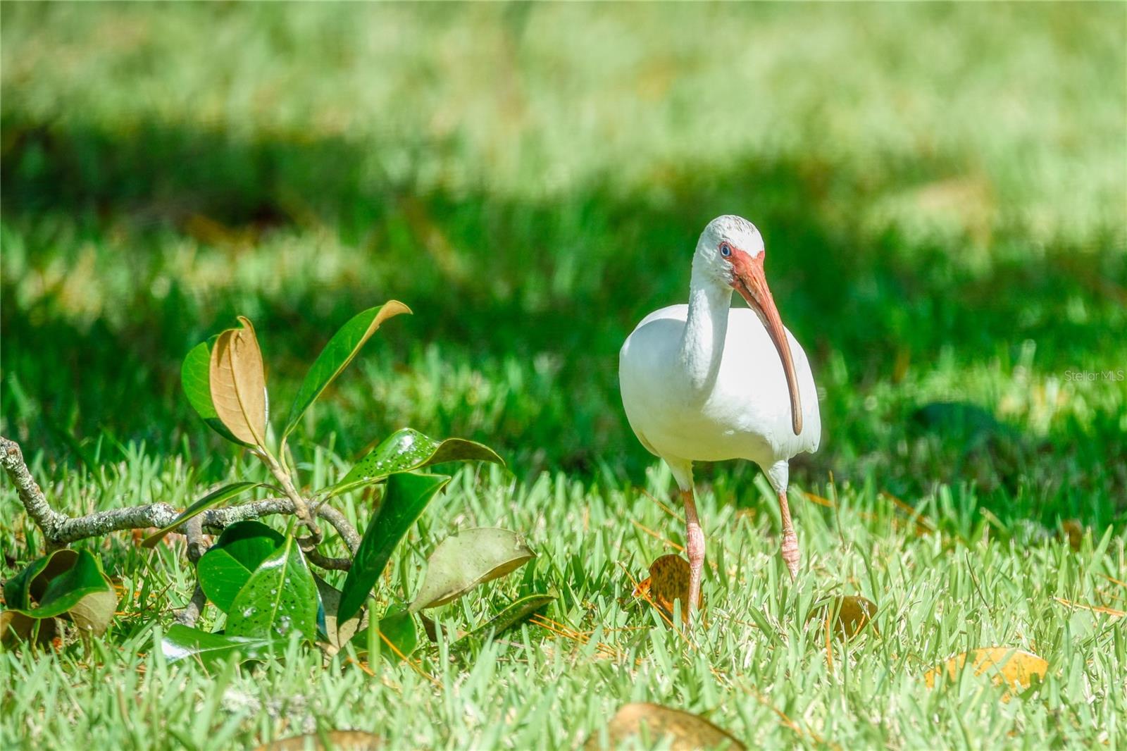 Image 48 of 53 For 695 Midway Drive A