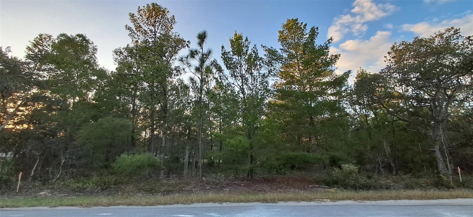 Details for 0 Fisher Course 9, OCKLAWAHA, FL 32179