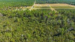 Image 10 of 13 For 9478 Timber Creek Terrace