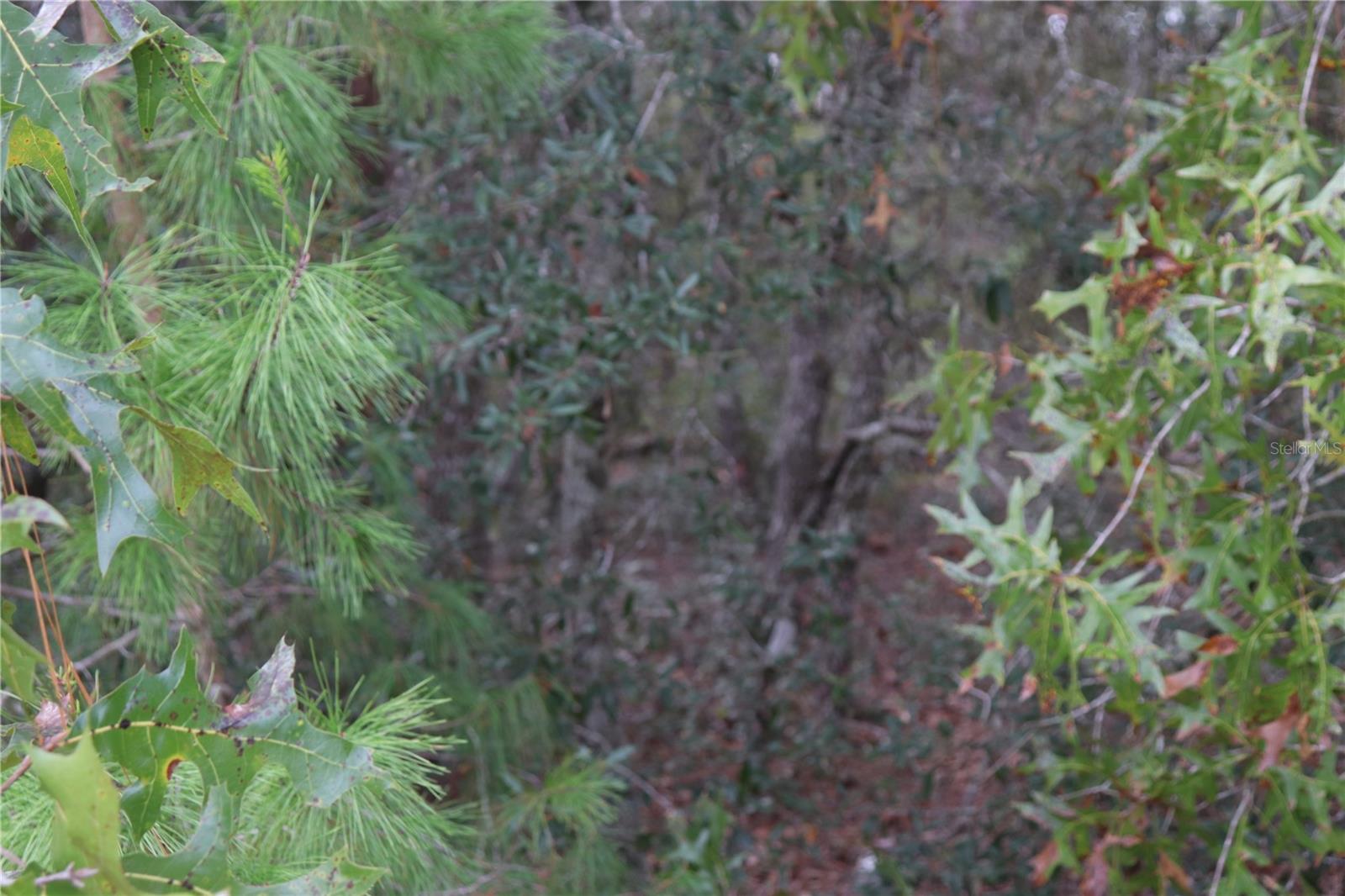 Image 3 of 13 For 9478 Timber Creek Terrace