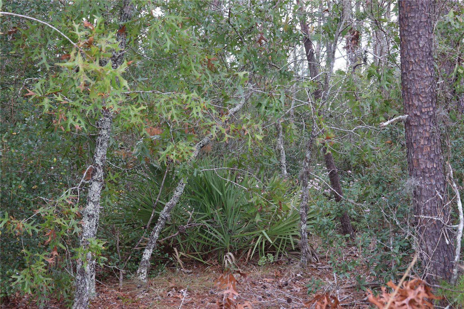 Image 7 of 13 For 9478 Timber Creek Terrace