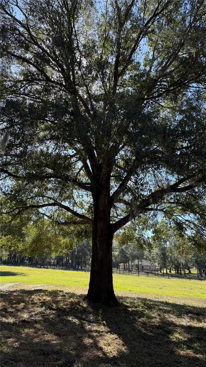 Image 33 of 57 For 41030 Oak Grove Road