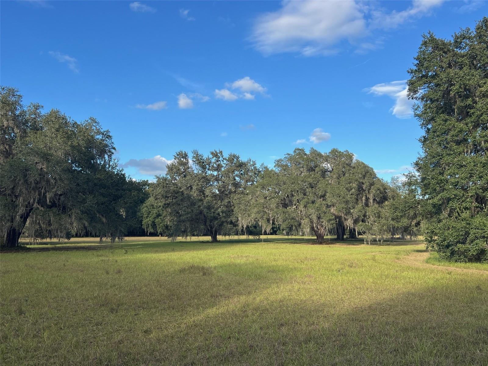 Details for 4160 127th Place, ANTHONY, FL 32617