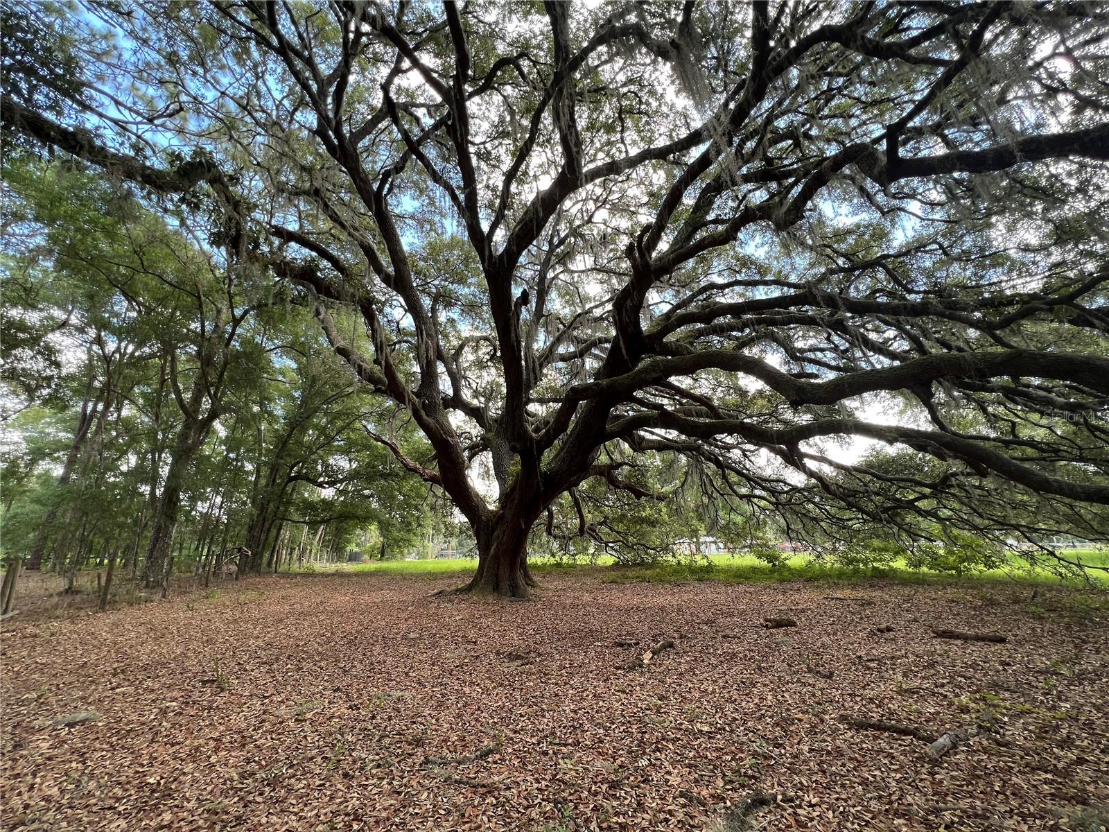 Image 10 of 14 For 4160 127th Place