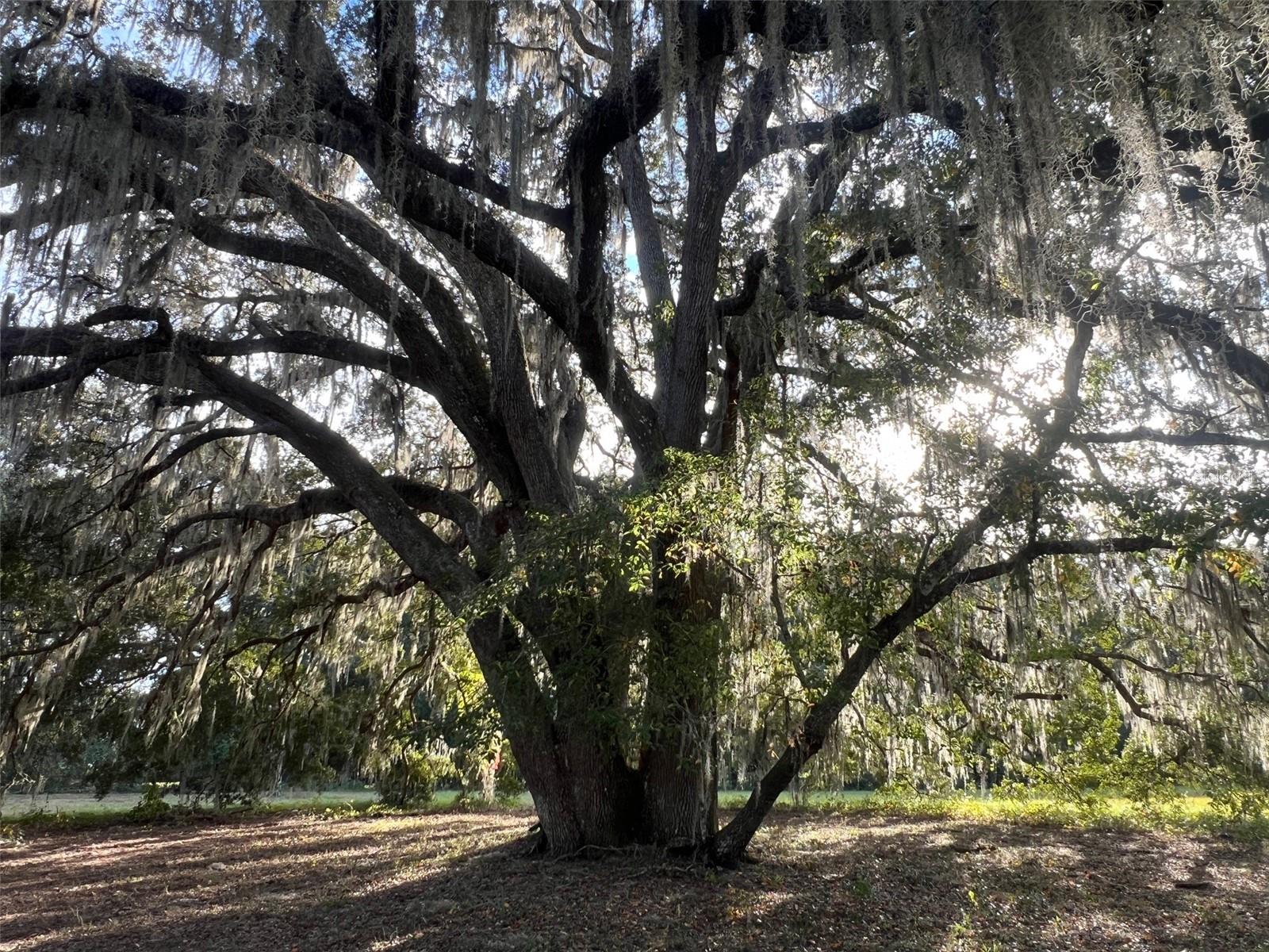 Image 12 of 14 For 4160 127th Place