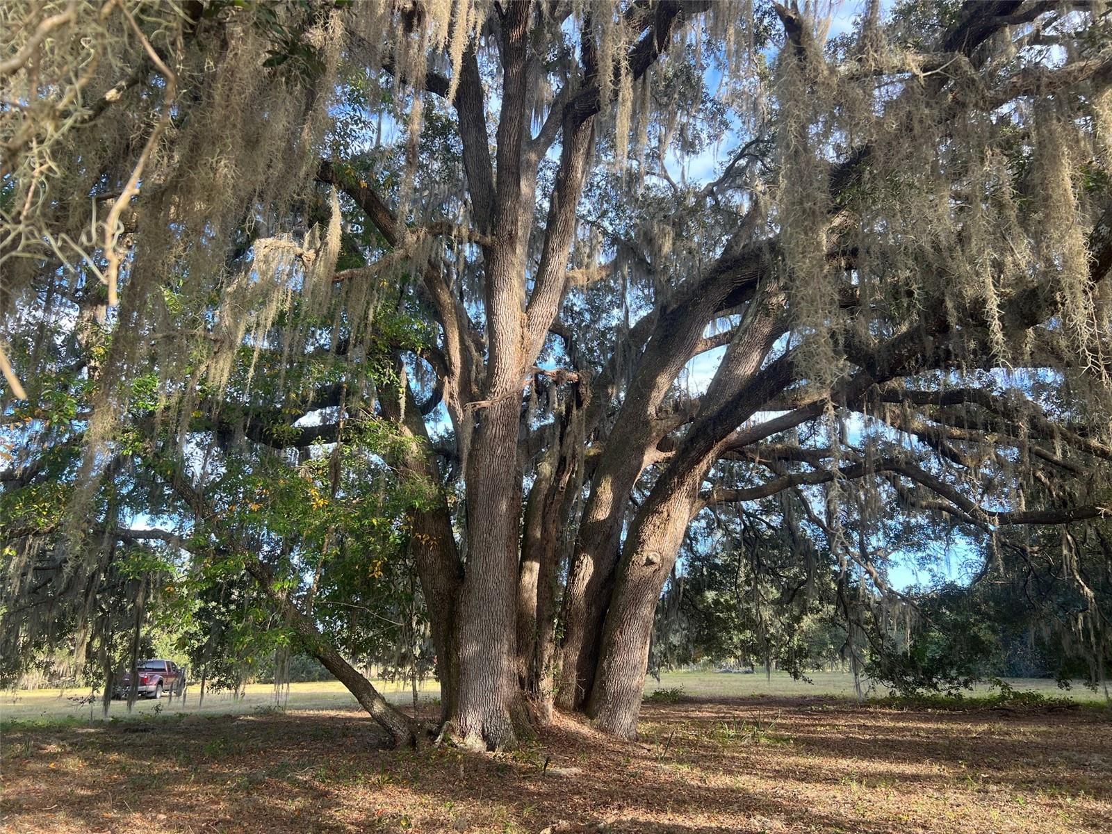 Image 13 of 14 For 4160 127th Place