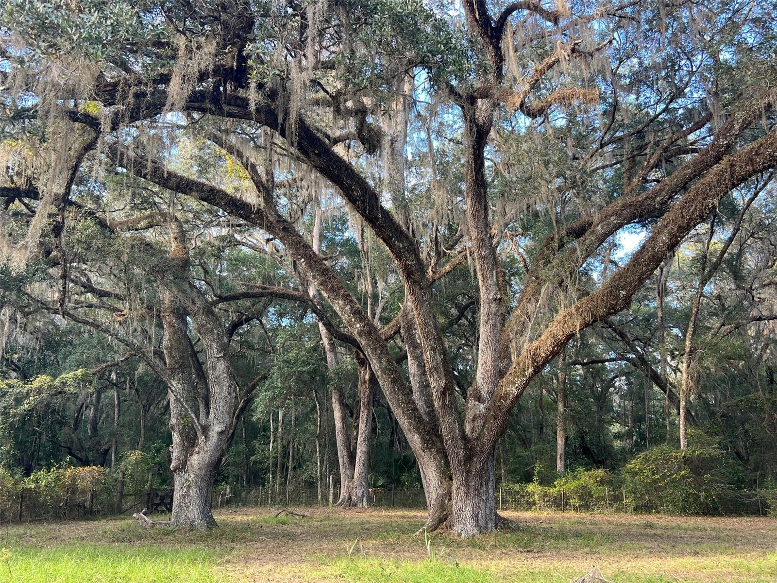 Image 4 of 14 For 4160 127th Place