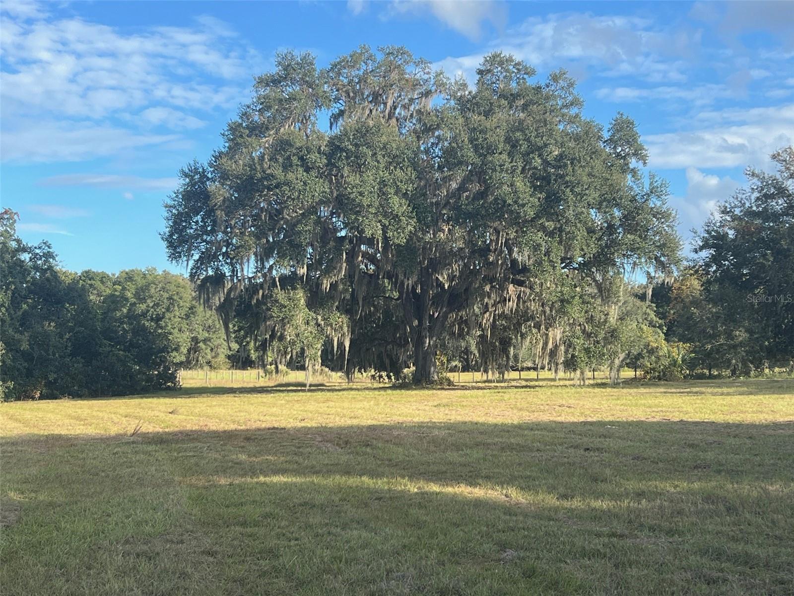 Image 7 of 14 For 4160 127th Place